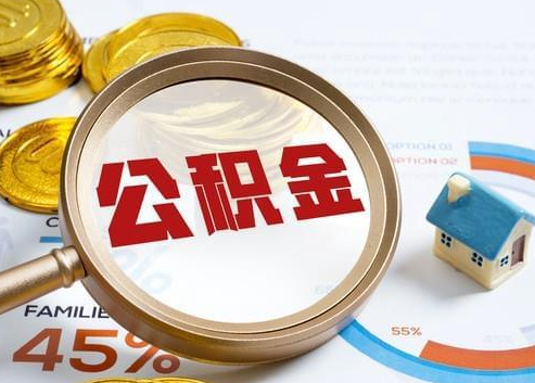 茂名2025年政策调整对个人影响综合解析